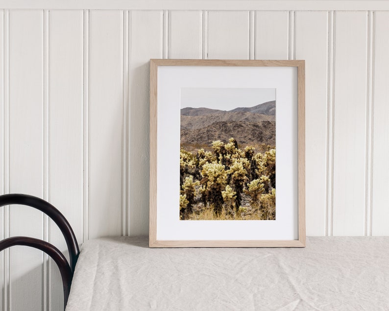 Joshua Tree National Park, Cholla Cactus Garden, California Fine Art Photo Print Giclée / Poster imagem 2