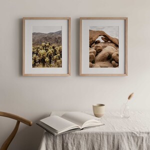 Joshua Tree National Park, Cholla Cactus Garden, California Fine Art Photo Print Giclée / Poster imagem 5