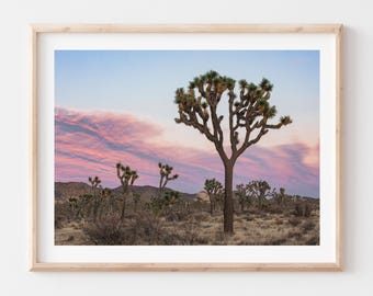 Joshua Tree National Photo Print, Fine Art Photography, Desert, California, Framed Option