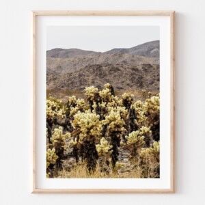 Joshua Tree National Park, Cholla Cactus Garden, California Fine Art Photo Print Giclée / Poster imagem 1