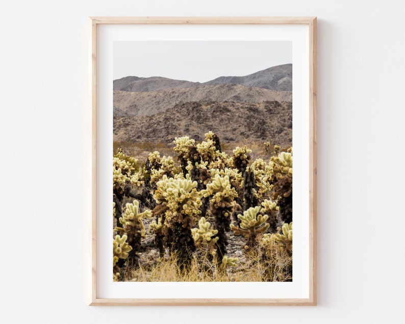 Joshua Tree National Park, Cholla Cactus Garden, California Fine Art Photo Print Giclée / Poster imagem 1