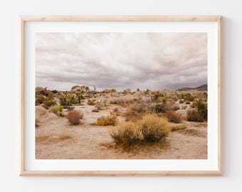 Joshua Tree National Photo Print, Fine Art Photography, Desert, California, Framed Option