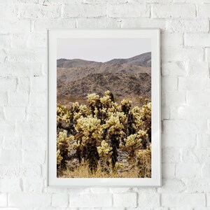 Joshua Tree National Park, Cholla Cactus Garden, California Fine Art Photo Print Giclée / Poster imagem 3