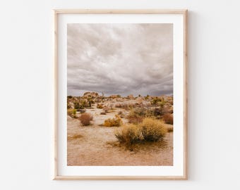 Joshua Tree National Photo Print, Fine Art Photography, Desert, California, Framed Option