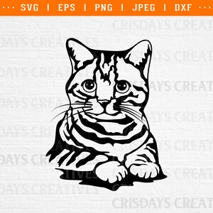 cute cat svg, smiling cat svg, peeking cat svg, cat svg, cat clipart, peeking pet face clipart, kawaii cat svg, cute cat design, cat png dxf