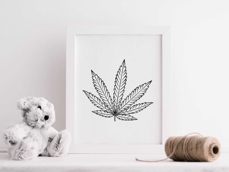 May include: A black and white line drawing of a marijuana leaf in a white frame. The frame is sitting on a white surface with a white teddy bear and a ball of twine.