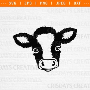 cow svg, baby cow svg, cow print svg, cute baby cow svg, cow png, cow clipart, cute cow face svg, cow face svg, farm animal svg, farm sign