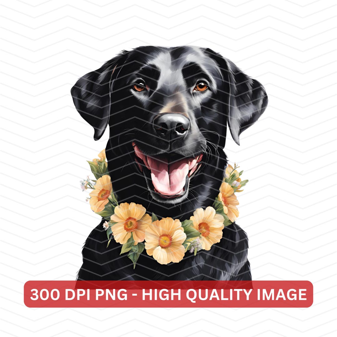 Black Labrador Wearing Flower Collar PNG, Labrador With Flowers PNG ...