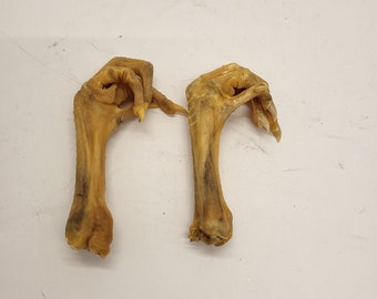 Four Preserved Chicken Feet for Crafts | Folk Art & Oddities Supply