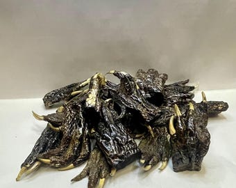 25 Medium Genuine Alligator Feet 2-4 Inch | Crafting, Jewelry And Taxidermy Supply