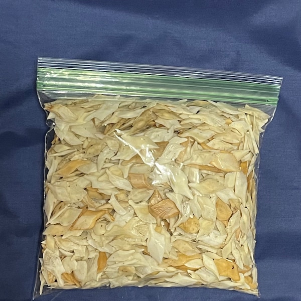 Alligator Gar Scales 1 Pound Bag For Crafts And Jewelry Making