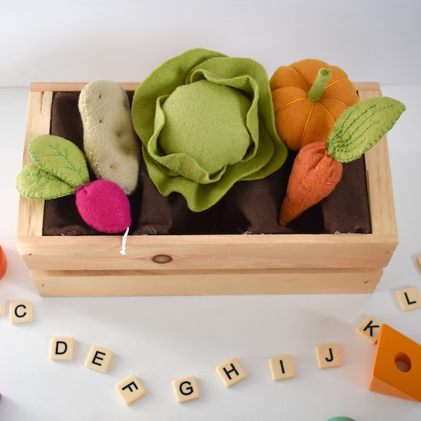 Ready-to-Ship Felt Vegetables: Play pretend, Carrot, Potato, Radish, Cabbage, Pumpkin, Garden, Vegetables, Veggies, Gardening,Wool-blend