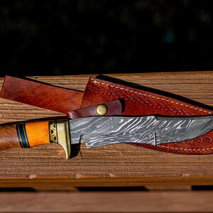 Multicolor Handle Knife, Hand Made Damascus Knife, Damascus Blade Knife, Cutting Knife, Hard Steel Knife. (DHK-09)
