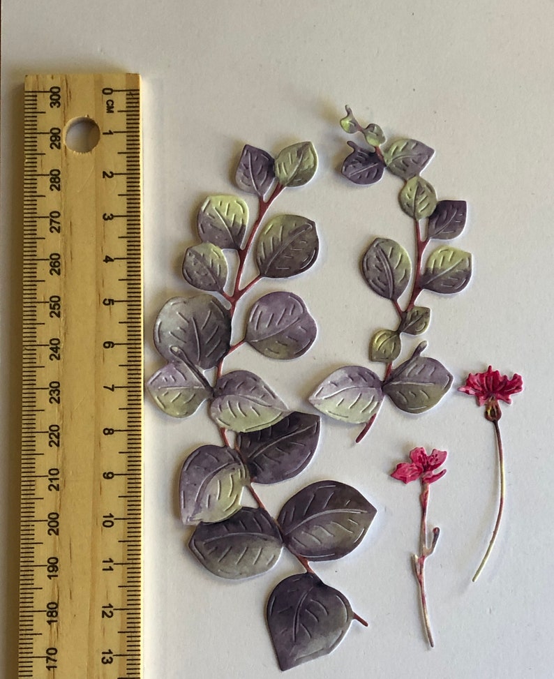 Eucalyptus Leaf Sprigs Die Cut Embellishments for Floral Etsy