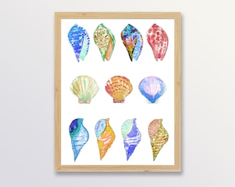 Watercolor Seashell Print, Beach House Art