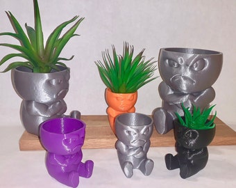 Grumpy Succulent Planter