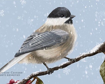 Chickadee Christmas Greeting Cards Boxed Set, Peace Card, Holiday Card, New Year's Card, Christmas Bird Art, Birds in Winter, Bird Cards