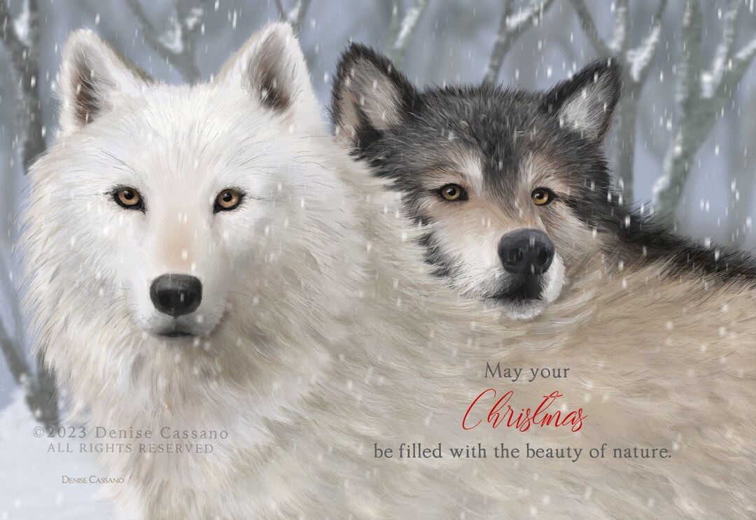 Wolf Christmas Card Boxed Set, Christmas Card for Wolf Lovers, Wolf Art, Wolf Holiday Card