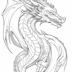 50 Dragon Coloring Pages,adults Printable Coloring Pages ,adult Dragon