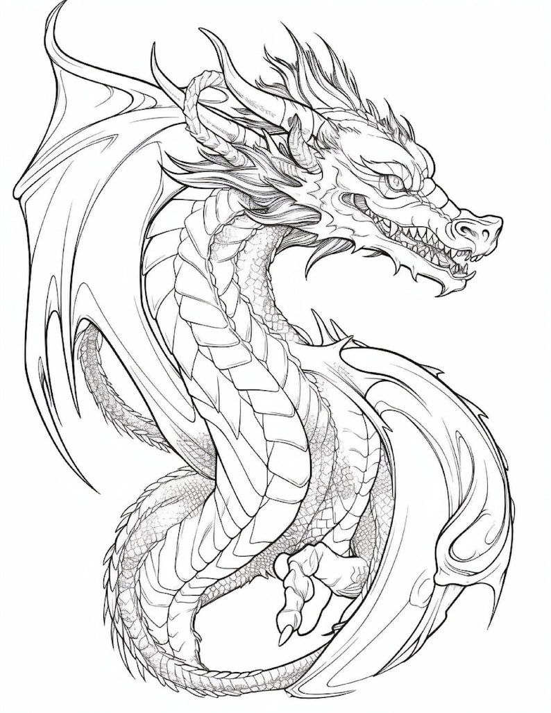 50 Dragon Coloring Pages,adults Printable Coloring Pages ,adult Dragon