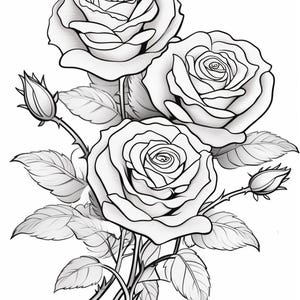 Rose Coloring Pages: 120 Floral Designs for Stress Relief (digital ...