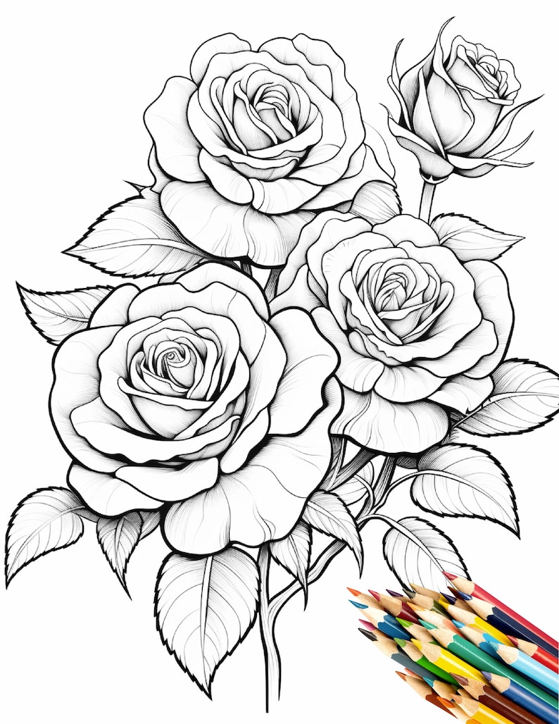 100 Printable Rose Flower Coloring Pages for Adults and Kids ,stress ...