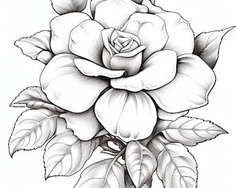 Peut inclure: Un dessin au trait noir et blanc d'une rose avec des feuilles. La rose est en pleine floraison et a un bouton sur la tige.