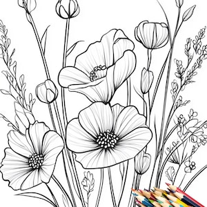 Può includere: Un disegno in bianco e nero di un mazzo di fiori, tra cui papaveri e altri fiori selvatici. Un set di matite colorate si trova nell'angolo in basso a destra dell'immagine.