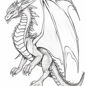 50 Dragon Coloring Pages,adults Printable Coloring Pages ,adult Dragon ...