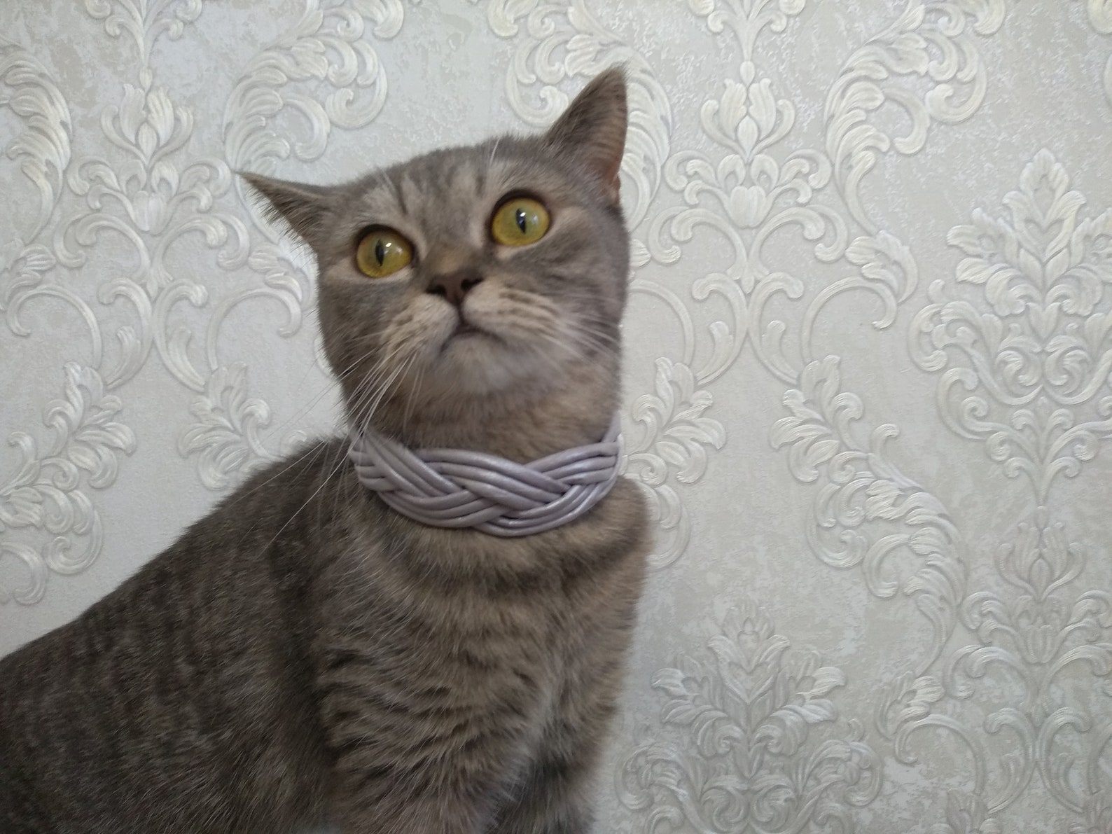 Decorative braided cat collar. Collar made of paper Etsy