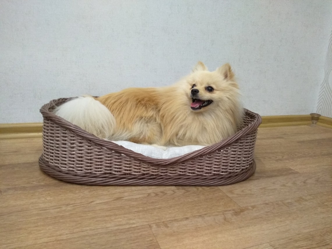 Oval wicker pet bed. Basket for pet. Large dog bed. Etsy
