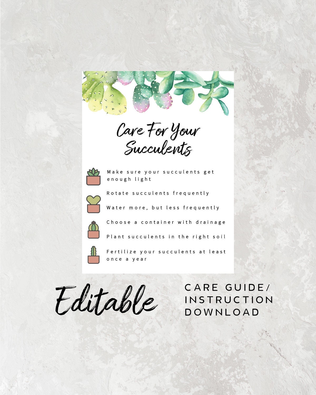 simple-succulent-care-instructions-printable