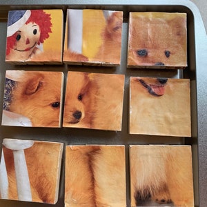 MAGNETIC PUPPY PUZZLE