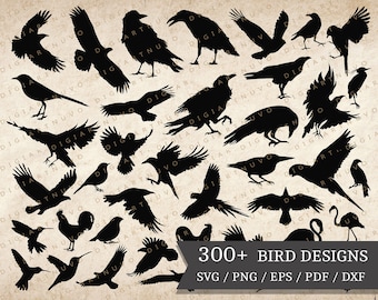 Arquivos de corte de pássaros Cena da natureza de pássaros - Crie artesanatos extravagantes com essas silhuetas de pássaros SVG de pássaros fofos perfeitos para qualquer projeto DIY