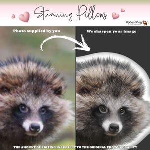 Realistic pet pillows professionally touched up prior to production.