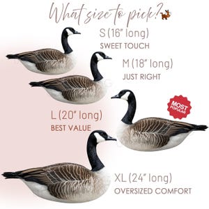 May include: A size guide featuring four Canada geese illustrations with text: What size to pick? S (16 inches long) Sweet Touch, M (18 inches long) Just Right, L (20 inches long) Best Value, and XL (24 inches long) Oversized Comfort with a Most Popular badge.