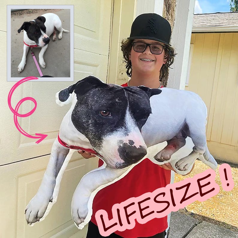 Custom Cat Pillow, Dog cushion, Personalized Pillowcase, 3D Custom Pet Photo Cushion, Pet Memorial Loss Gift afbeelding 5