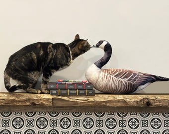 Canada Goose Pillow Cute, Cat Lover Gift, Realistic Goose Pillow, Soft Animal Decor, Unique Gift Idea