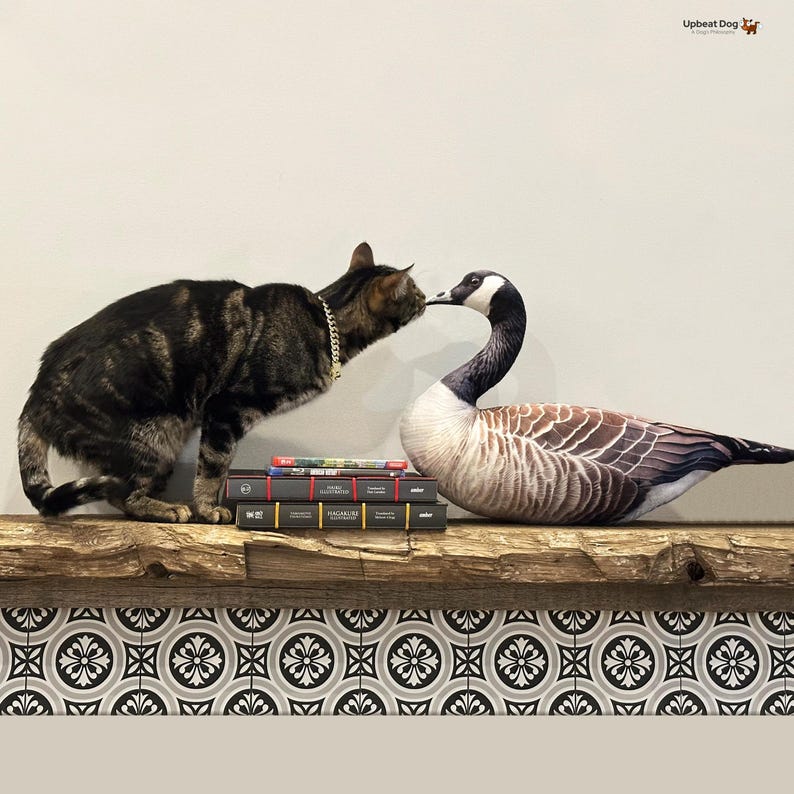 May include: A brown and black tabby cat wearing a gold chain collar stands on a stack of books, touching noses with a realistic Canada goose plush toy. The books are black with gold lettering and red accents, resting on a rustic wooden shelf.