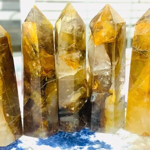 Pode incluir: Seis pontas de cristal amarelo dourado e marrom, também conhecidas como citrino, dispostas em uma fileira sobre uma superfície azul. Os cristais são translúcidos e têm uma aparência natural e bruta.
