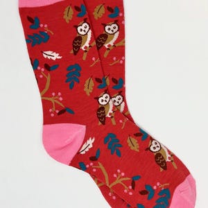 May include: A pair of red socks with a pink cuff and toe. The socks feature a repeating pattern of owls perched on branches with leaves and berries in shades of brown, teal, and gold.