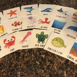 May include: A set of 16 colorful flashcards featuring various sea creatures and ocean-related terms. The cards include images of a seahorse, starfish, clownfish, shark, jellyfish, octopus, stingray, dolphin, sea turtle, pufferfish, crab, squid, sea shells, seaweed, ocean, and coral reef.