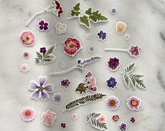 Pegatinas de flores prensadas surtidas: adornos botánicos para álbumes de recortes (40 piezas)