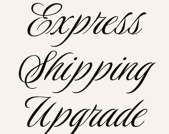 Express Shipping Upgrade | International | Domestic