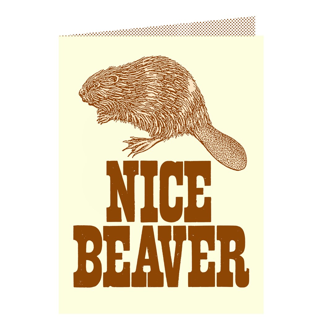 Nice Beaver Greetings Card - Etsy UK