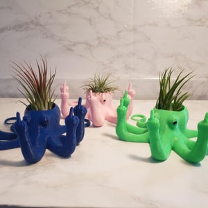 Långfinger bläckfiskplanter