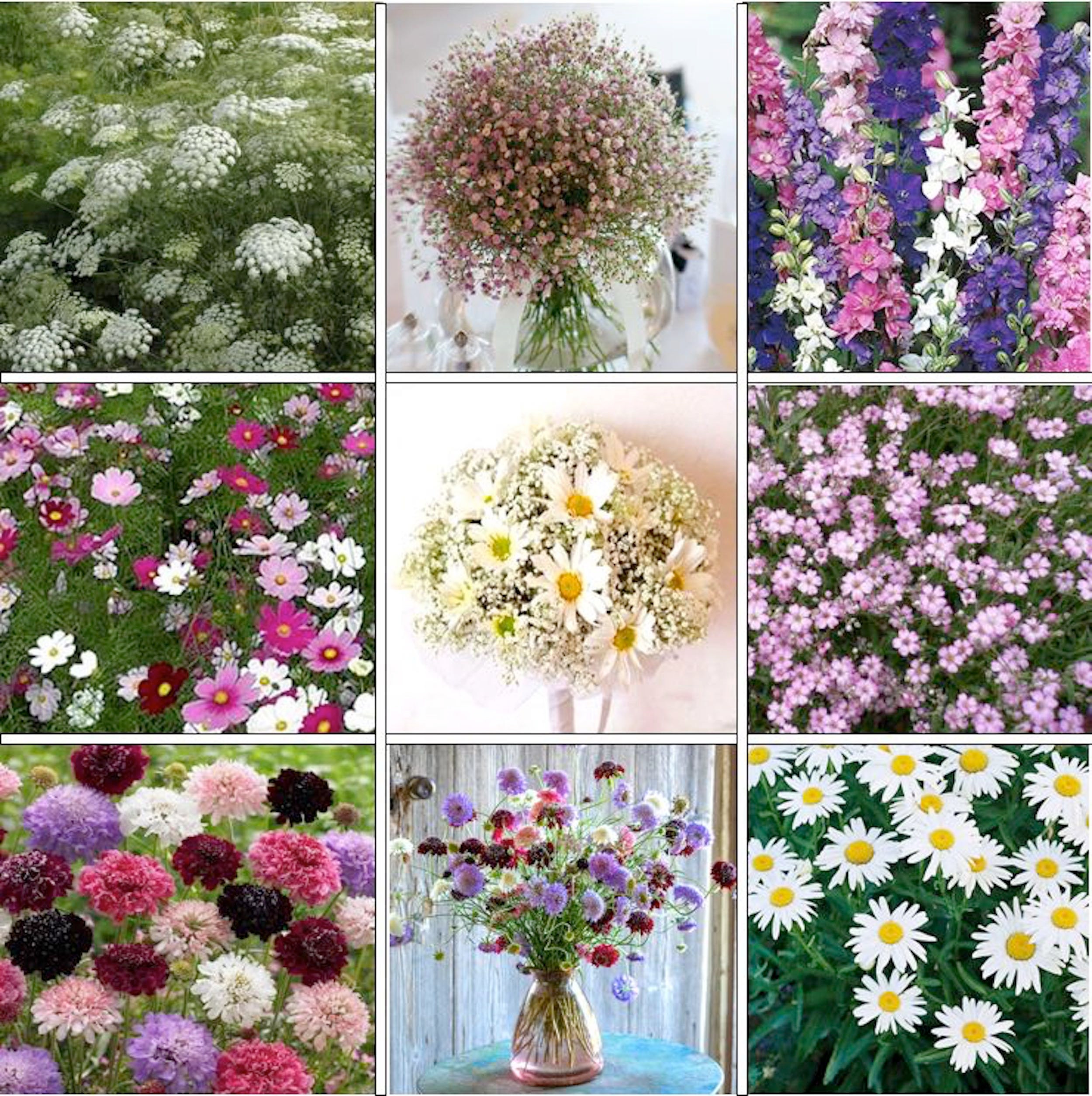 Cut Flower Garden Kit grow your own bouquet Etsy