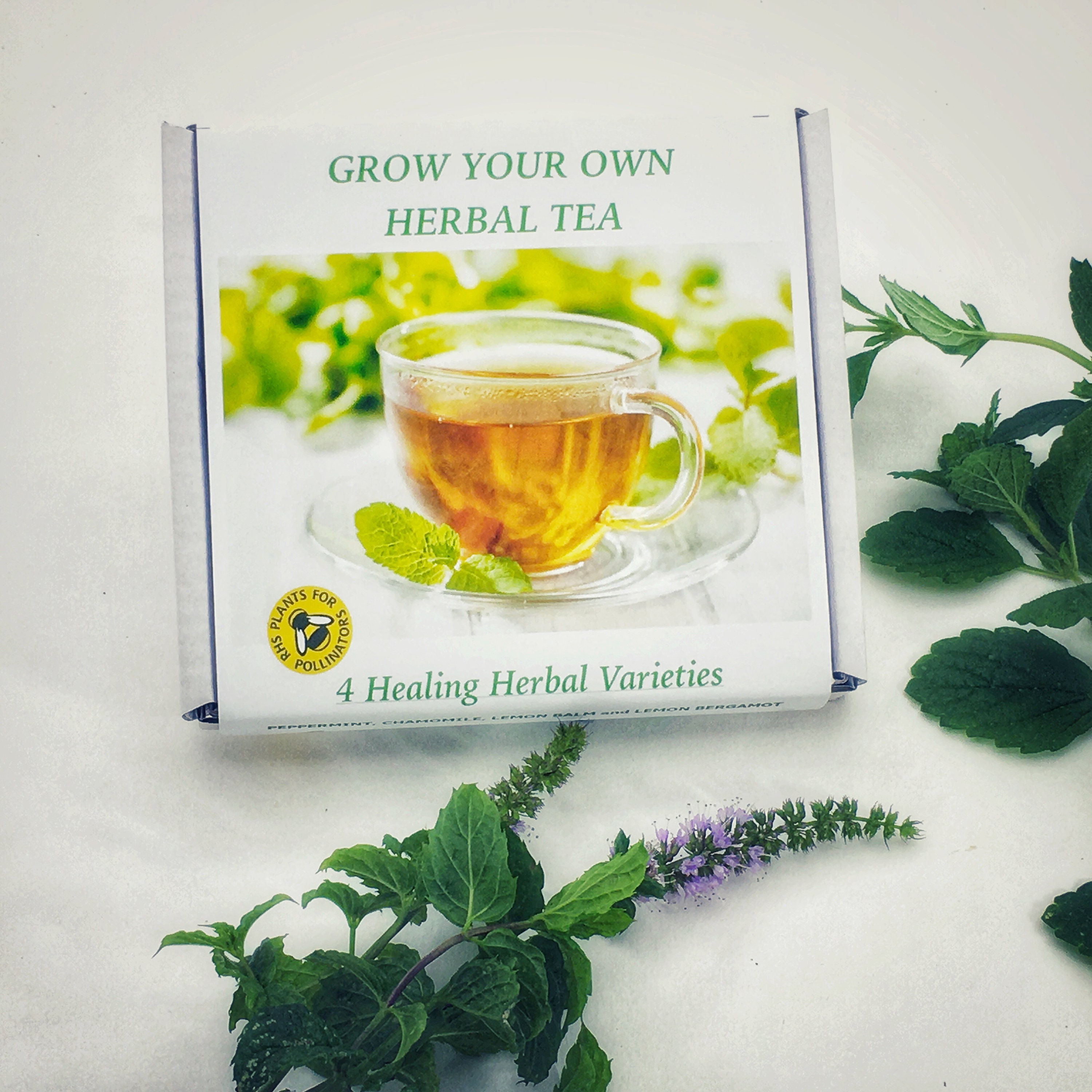 Herbal Tea Seed Gift Box Grow Your Own Mindfulness Present. Etsy UK