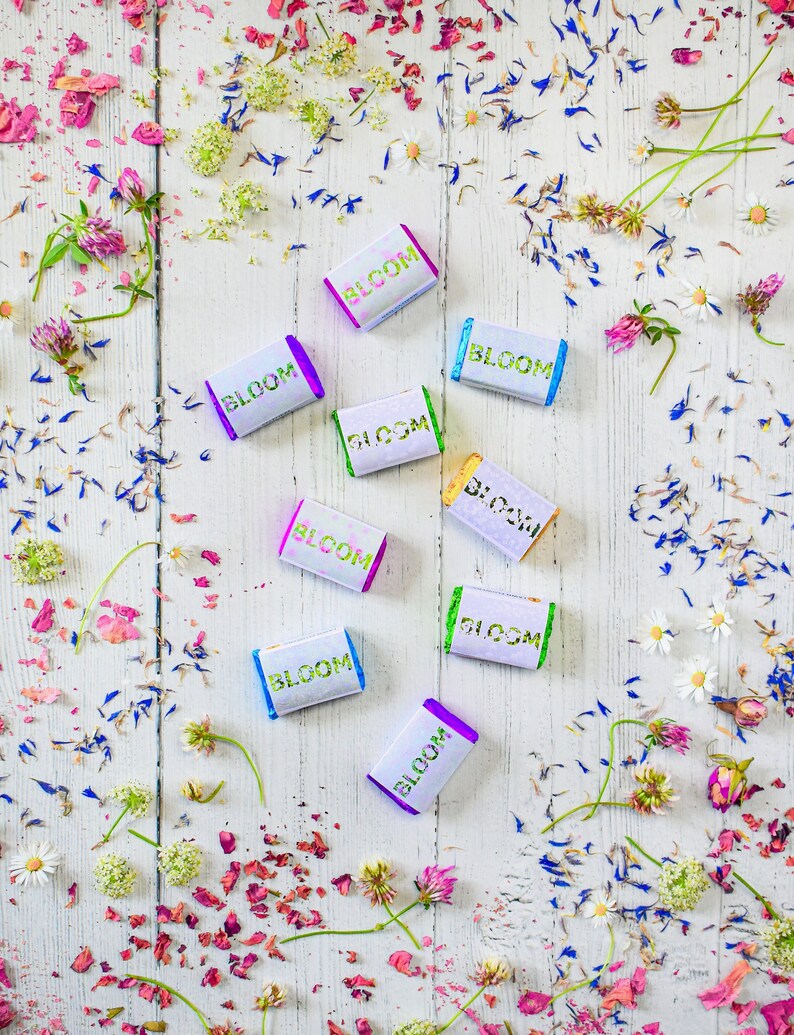 Wildflower Seed Bombs Etsy UK