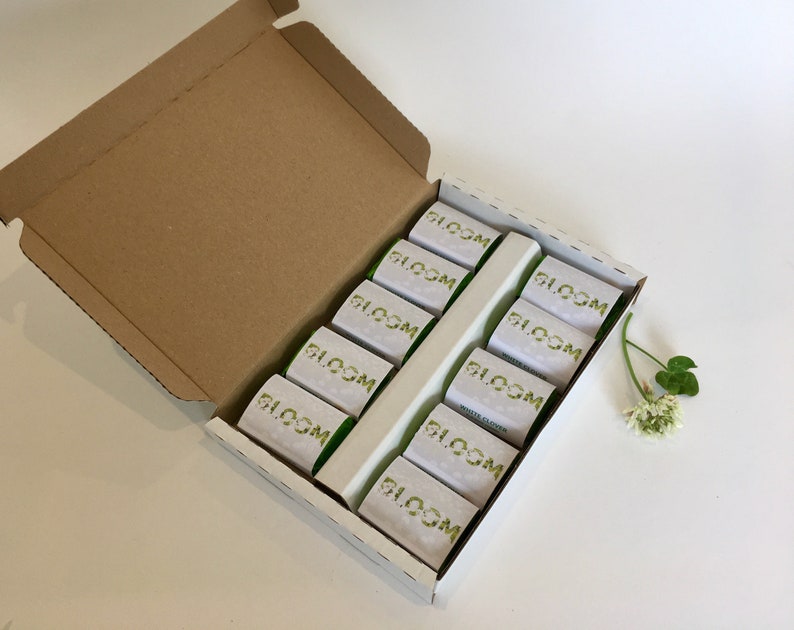 White Clover lawn seed bomb gift box of 60 seed bombs Save the Bees